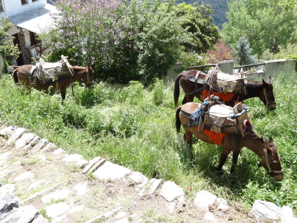 Archontiko Koilia Hotel Makrinitsa Bagian luar foto